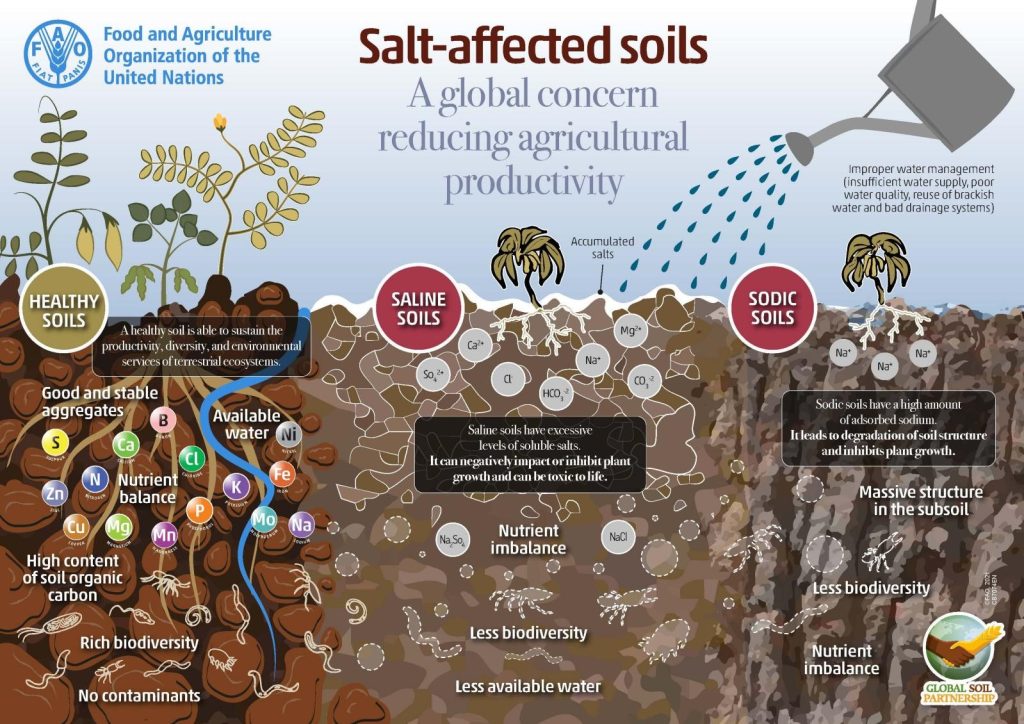 salt affected soils