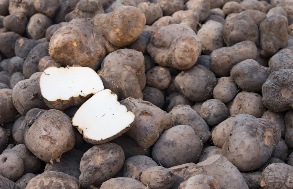 Most Of The World's Yams Come From This Country