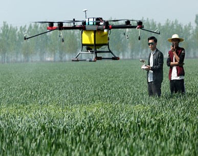 drones in smart agriculture