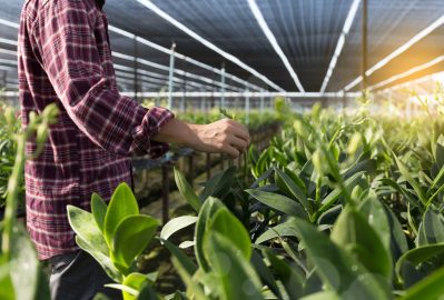 Trends and Innovations in Agriculture that Transform our Future