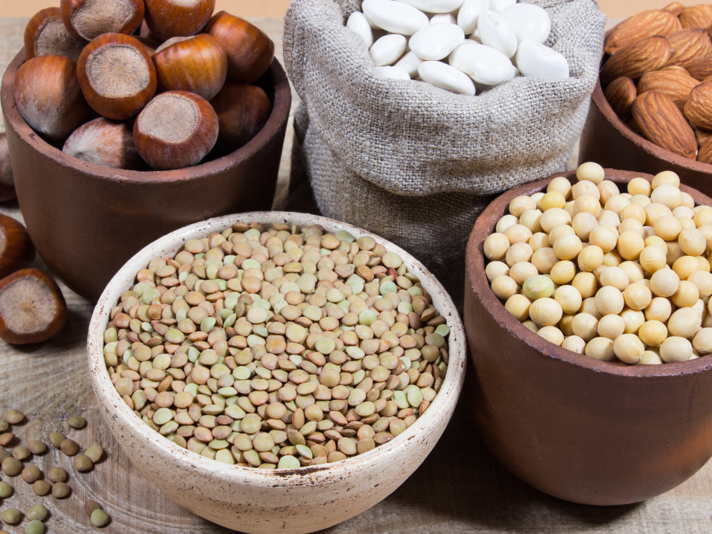 Legumes: Important Protein Source for Healthy and Sustainable Diets - -  Johns Hopkins Center for a Livable Future