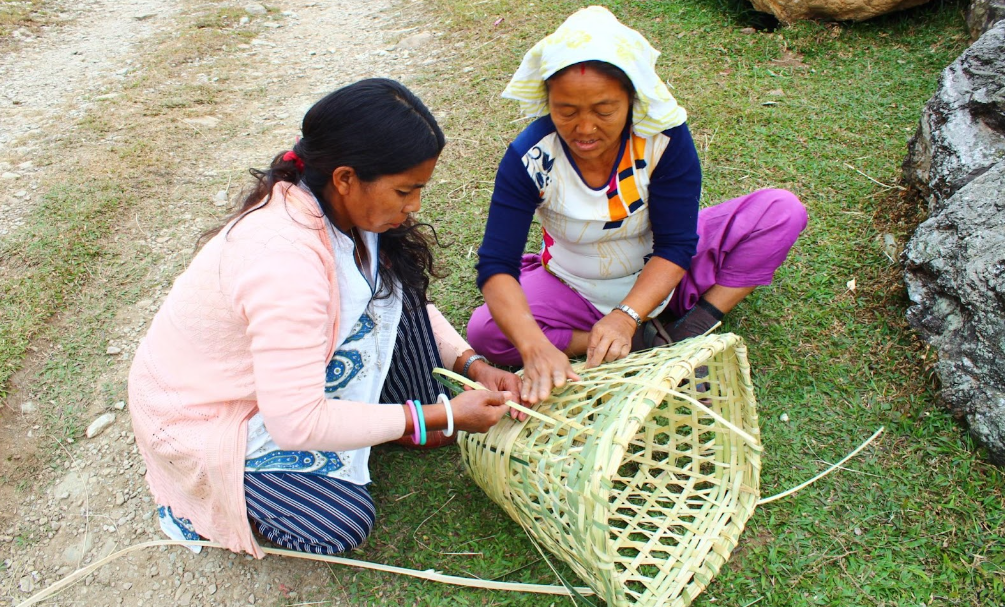 Γυναικεία ενδυνάμωση & καλλιέργεια μπαμπού σε αγροτικές περιοχές