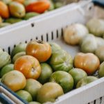 كيفية تخزين الطماطم لتقليل خسائر ما بعد الحصاد