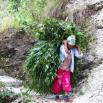 मृदा कार्बन जब्त और ग्रामीण महिलाओं का प्रभाव