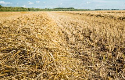 Agricultural Residues (Biomass) and their Management