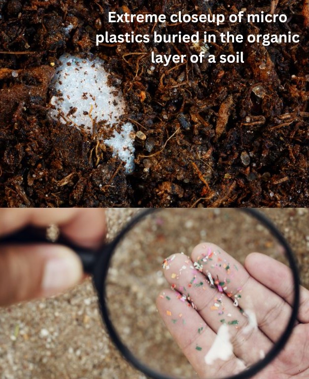 How can microplastic affect the soil microorganisms