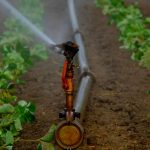 What is Deficit Irrigation