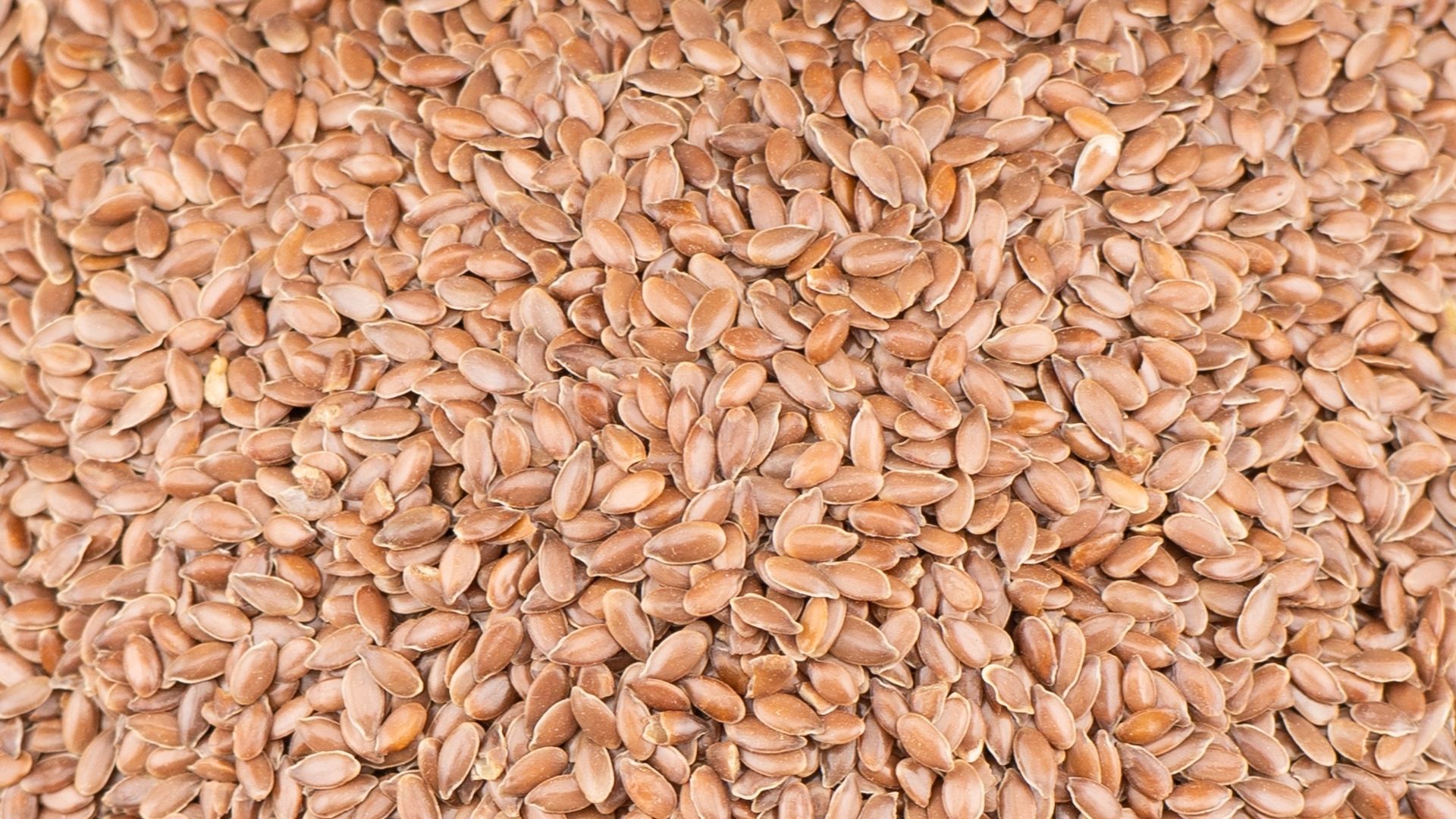 A Complete Guide on Flaxseed Cultivation Wikifarmer