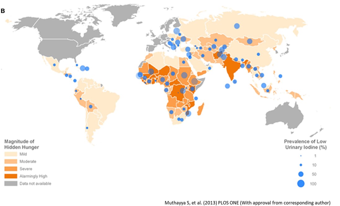 hidden hunger global map
