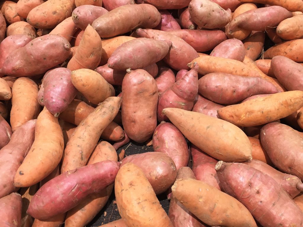 nutritious sweet potatoes