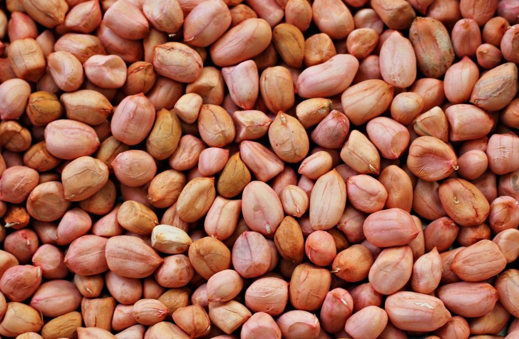 Amendoim: Informações das Plantas, História, Usos e Valor Nutricional