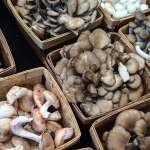 Cogumelos: Informação, Valor Nutricional e Benefícios para a Saúde