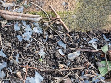 Microplastiques dans le sol : sources, impact négatif et stratégies pour atténuer ce problème