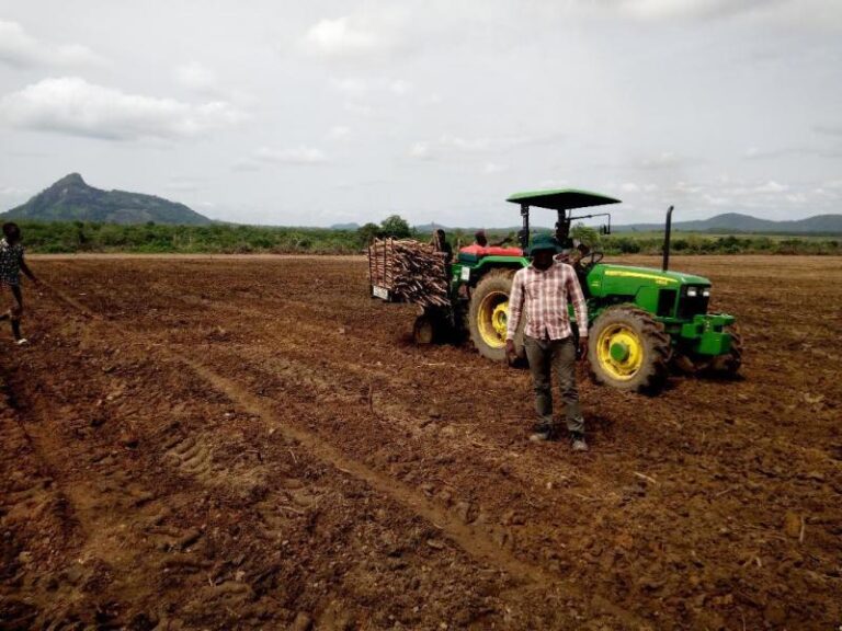 Propagation et plantation du manioc.3
