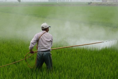 The problem of pesticides overuse and the need for change