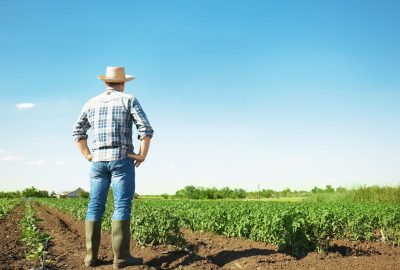 Apa itu pertanian biodinamik?