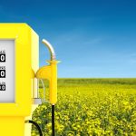 Bagaimana kita bisa memproduksi biofuel di bidang pertanian?