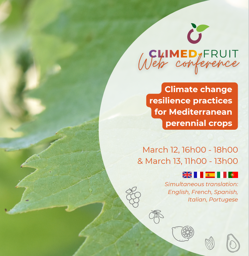 Climate change resilience practices for Mediterranean perennial crops