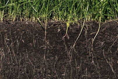 Enhancing Soil Health Benefits of Cover Crops and Practical Examples