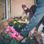 Guerrilla gardening (ή αντάρτικη κηπουρική στην πόλη)
