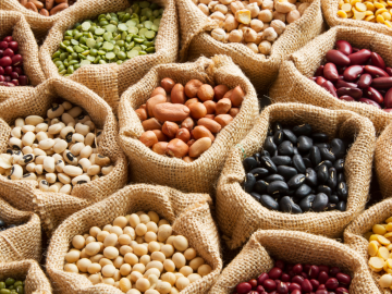 Seguridad alimentaria mundial: ¿cómo impulsan el cambio las proteínas de origen vegetal?