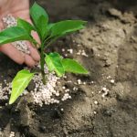 Что такое вымывание питательных веществ? - потери питательных веществ в почве