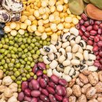 Las proteínas vegetales: Construir un planeta sostenible y sano