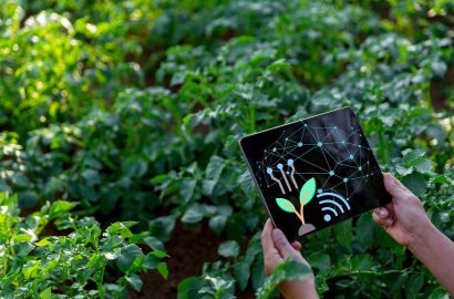The Potential Impact of Generative AI on the Potato Industry