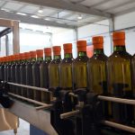The Tunisia's olive oil export potential to the United Kingdom