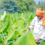Farmer Producer Organizations A Way to Increase Smallholder Farmers’ Income