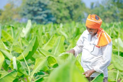 Farmer Producer Organizations A Way to Increase Smallholder Farmers’ Income