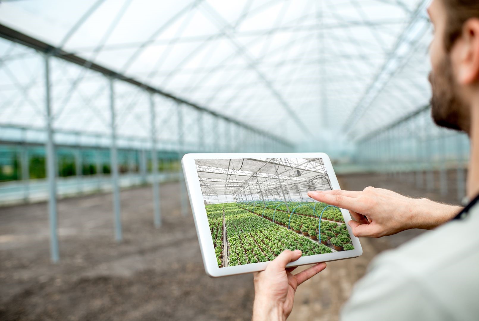 10 Aspects and Benefits of Project Management in Agriculture