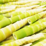 Bamboo Shoots Sustainable Superfood for Next-Gen Functional Foods