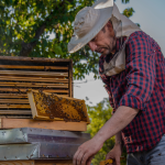 Beekeeping Equipment: Covering the basic tools & protective gear needed for beekeeping