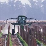 Management Strategies to Avoid Insecticide Resistance