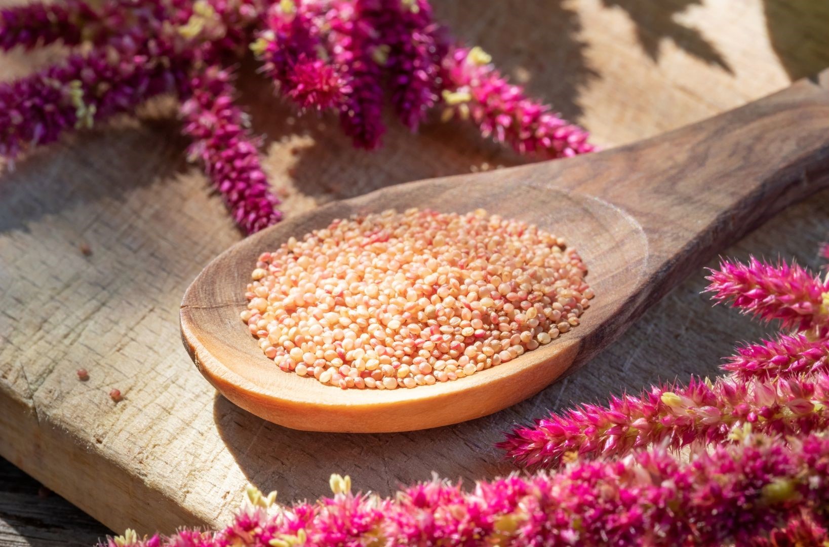 Amaranth uses Artigos - Wikifarmer